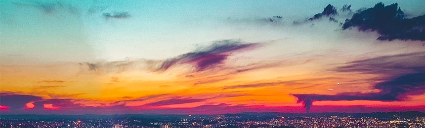 无棣茶虫网_无棣品茶